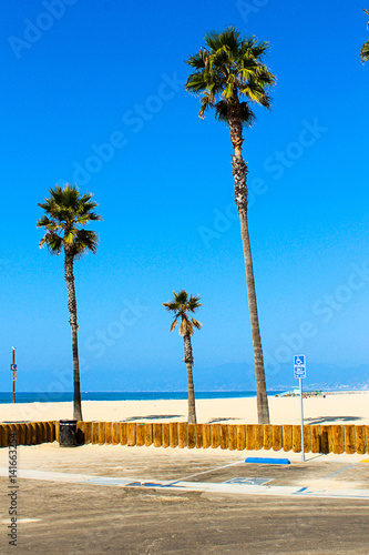 Beautiful palm trees by the Venice beach in Los Angeles, California. Amazing summer spirit. Beach time. photo