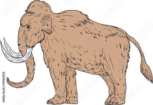 Woolly Mammoth Side Drawing