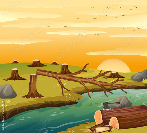Deforestation scene at sunset