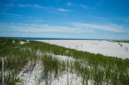 Beach and Dunes – Summer in the Hamptons, USA © MilesAstray
