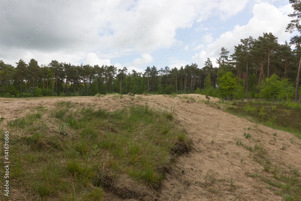 Fototapeta premium Holmer Sandberge, Geotop