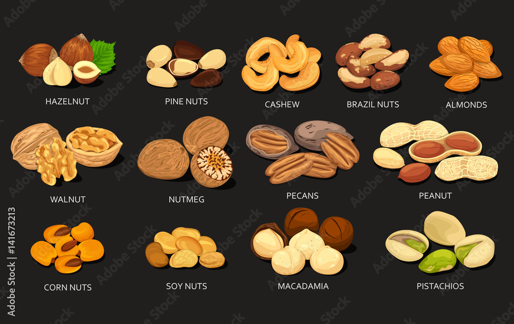 Set of grains and beans of food nuts Set of grains and beans of food nuts