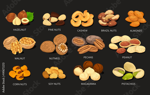 Set of grains and beans of food nuts