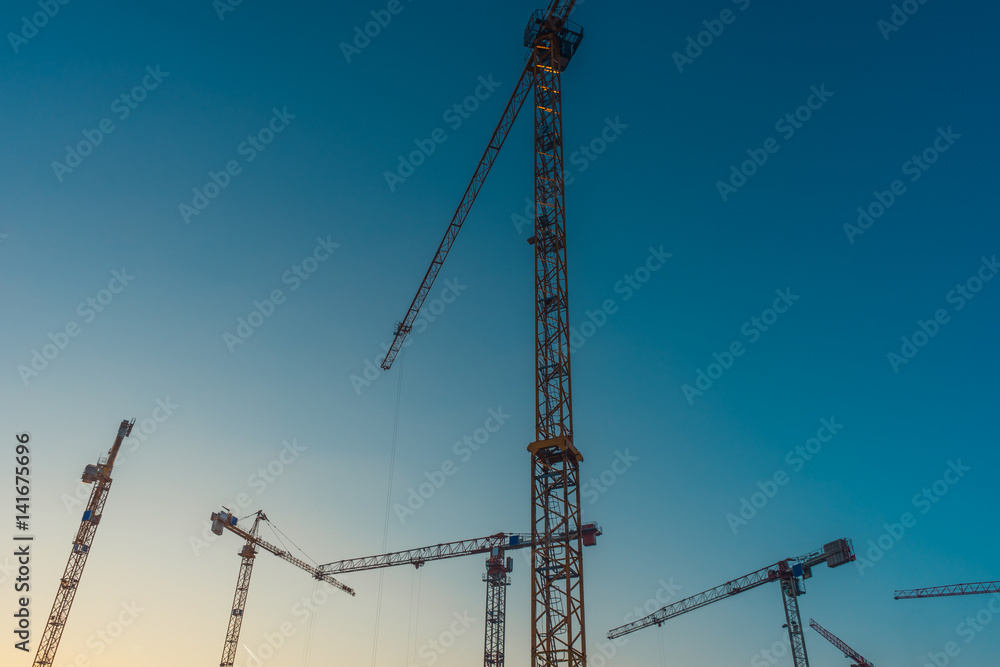 Five tower cranes under clear sky Five tower cranes under clear sky