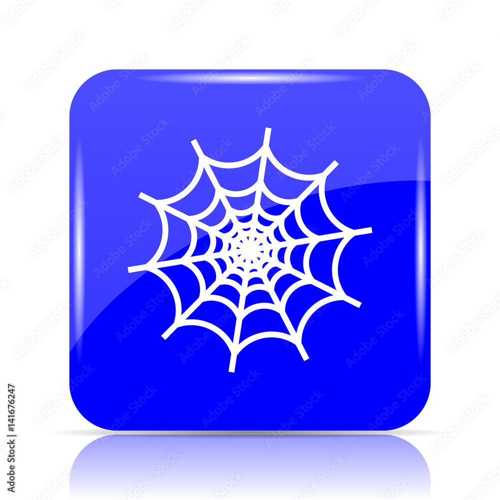 Spider web icon Spider web icon