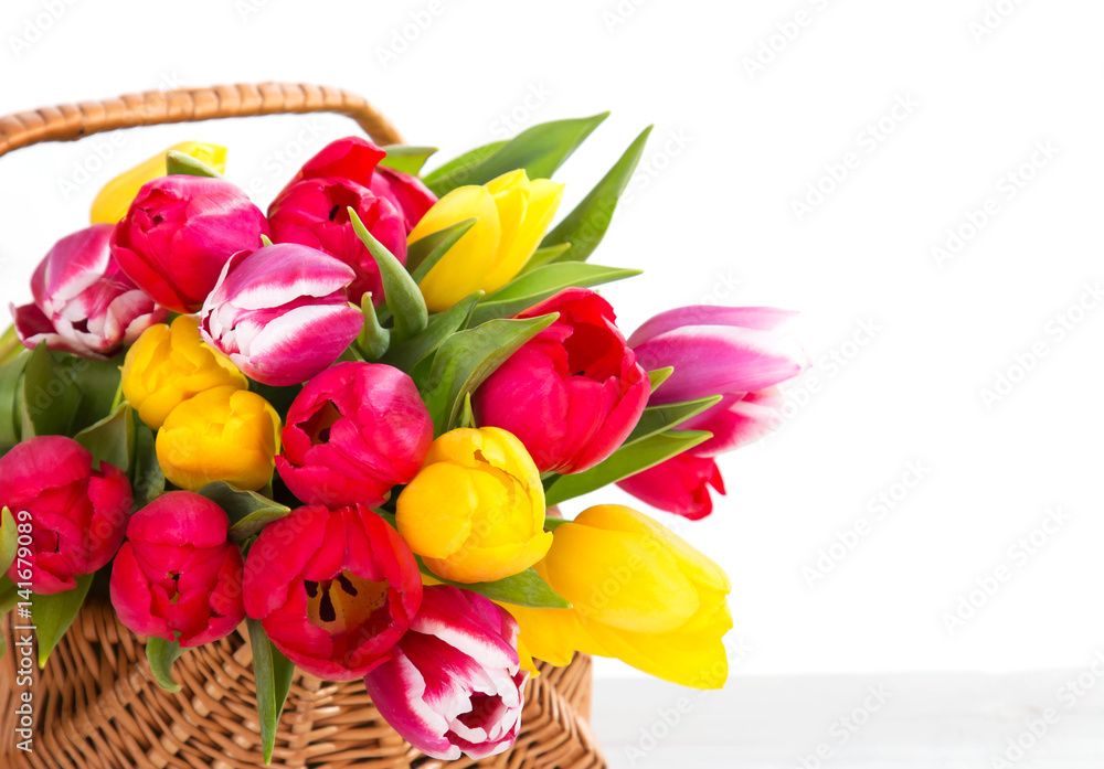 Obraz premium Tulpen - Hintergrund