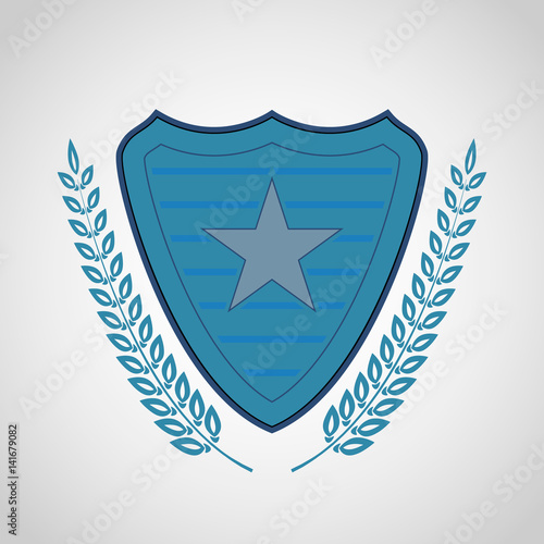 The vector shield with star symbol