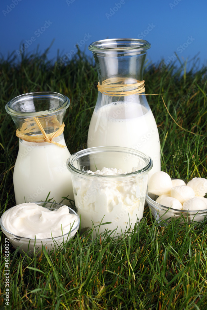 milk products - tasty healthy dairy products in fresh grass: sou milk products - tasty healthy dairy products in fresh grass: sou