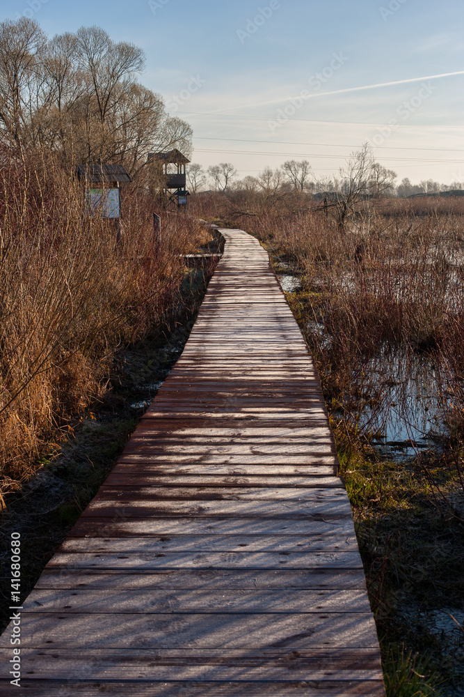 Fototapeta premium Drewniana kładka nad rozlewiskami Biebrzy. Wiosna