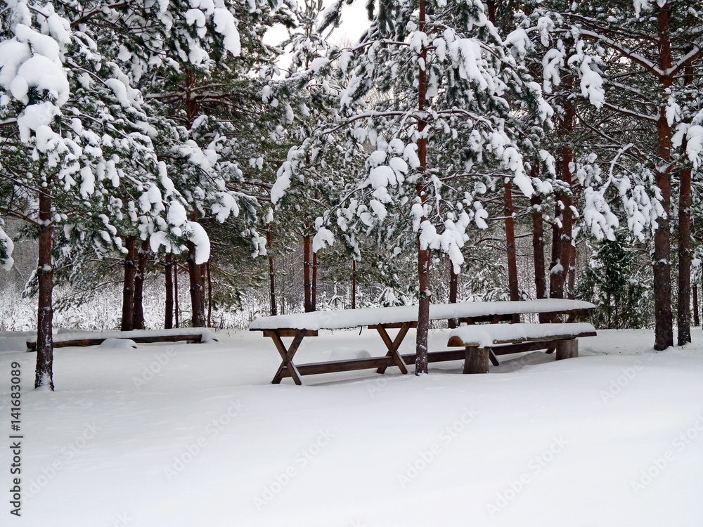 The table and the bench in the winter forest