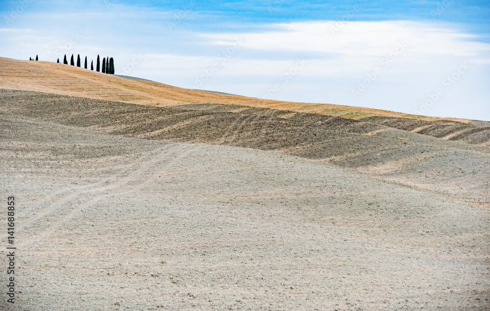 Obraz premium view of the Tuscan countryside in the lands of the city of Siena