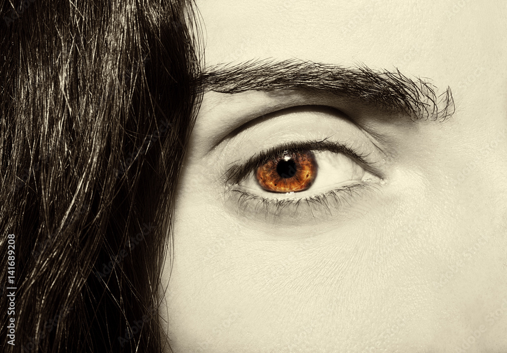 Obraz premium A beautiful insightful look woman's eye. Close up shot