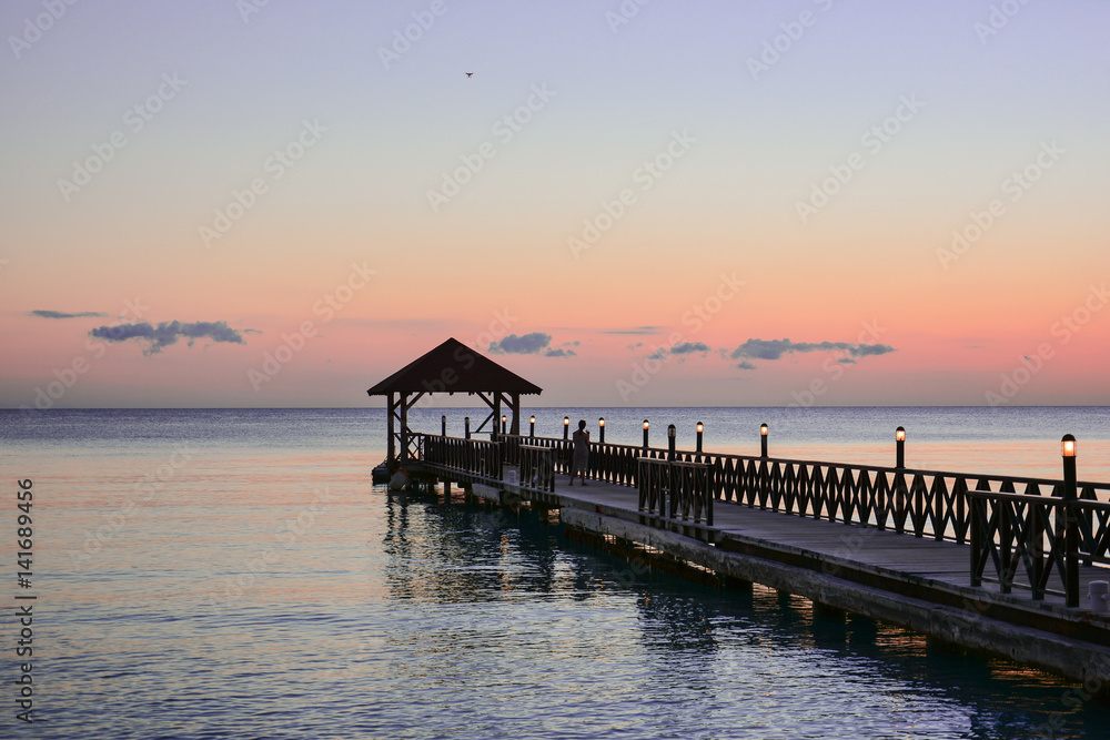 sea panoramic view of the Dominican Republic in the Caribbean with white beaches and palm trees