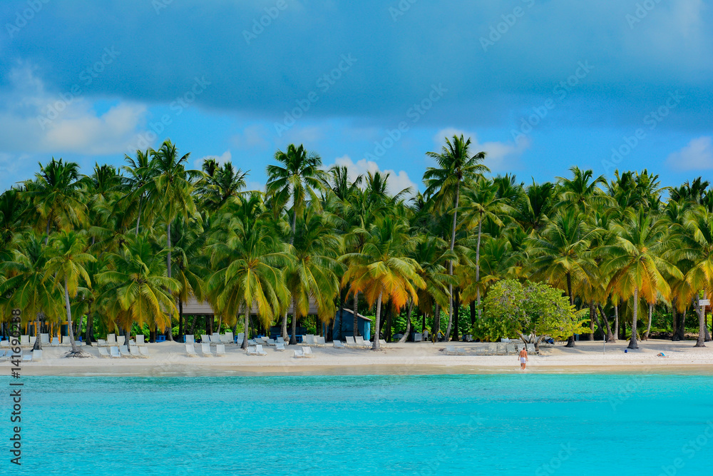 sea panoramic view of the Dominican Republic in the Caribbean with white beaches and palm trees sea panoramic view of the Dominican Republic in the Caribbean with white beaches and palm trees