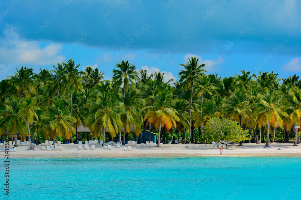 sea panoramic view of the Dominican Republic in the Caribbean with white beaches and palm trees