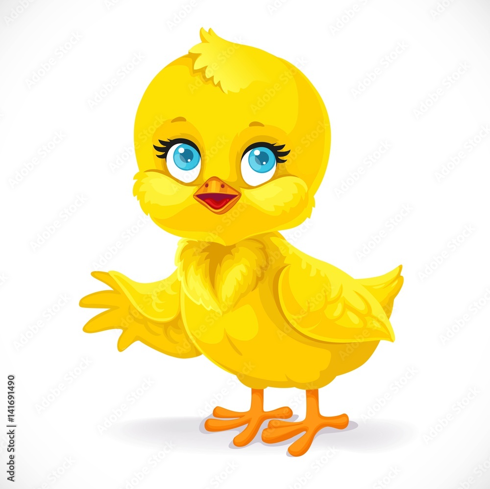 Cute baby chick shows a side isolated on a white background