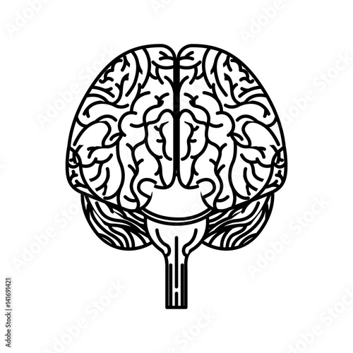 brain organ human icon vector illustration design