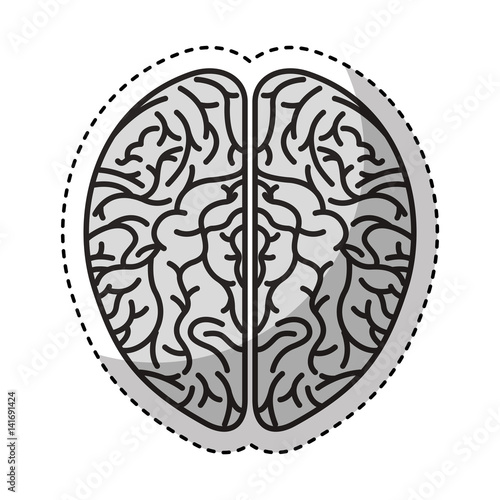Fototapeta Naklejka Na Ścianę i Meble -  brain organ human icon vector illustration design