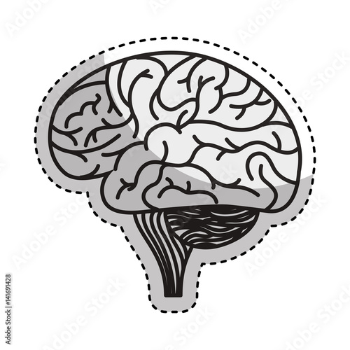 brain organ human icon vector illustration design