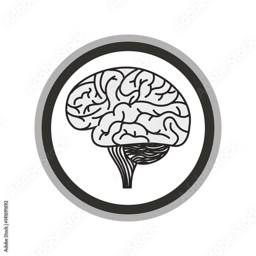 brain organ human icon vector illustration design