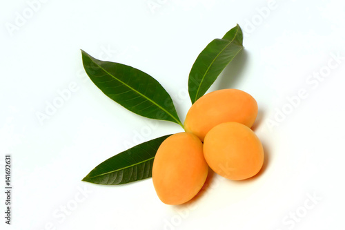 Mayongchid , Mayongchit marian plum, gandaria, plum mango , white background