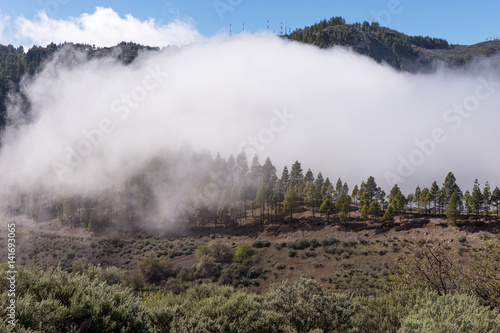 Wolke zieht in die Berge von Gran Canaria