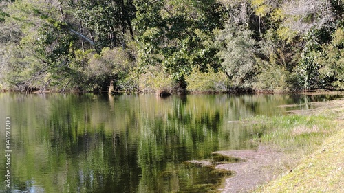 reflective waters