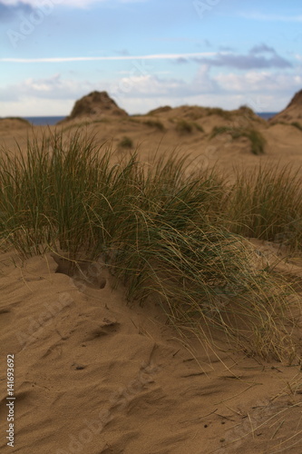 Sand dunes