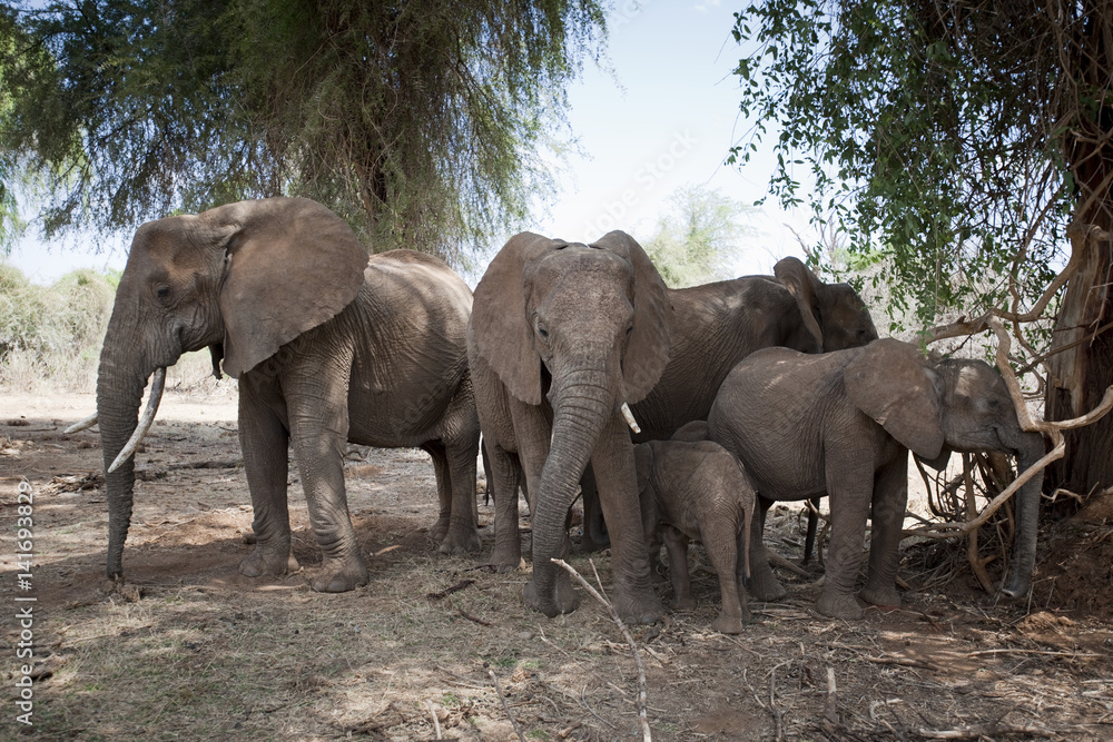 Kenya, Africa