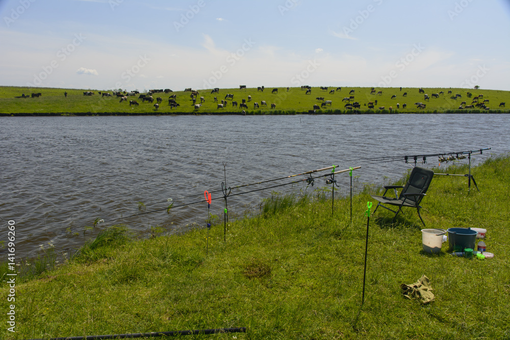 Obraz premium Fishing in private lake