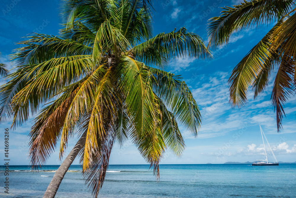 caribbean sea and palms caribbean sea and palms