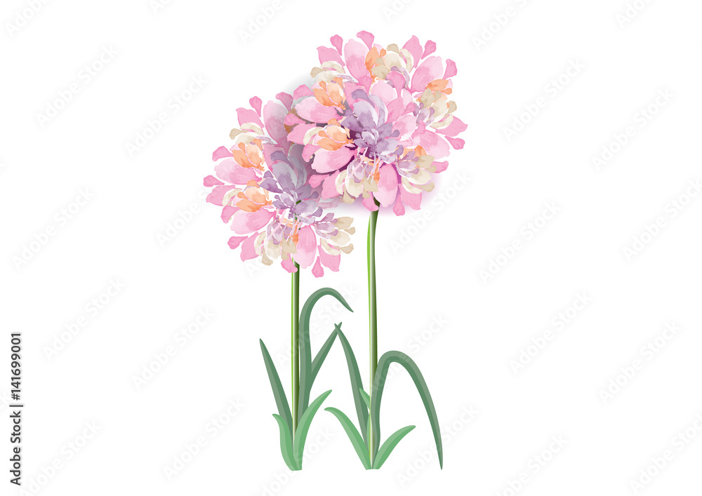 three pink flowers circle bouquet on white background,vector illustration