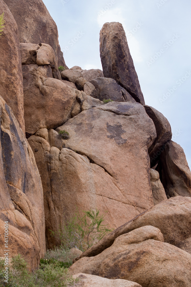 Joshua Tree