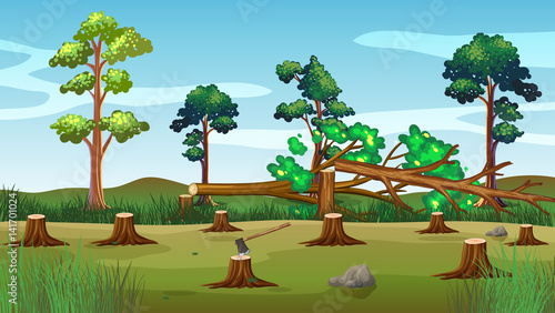 Scene with chopped trees on the ground