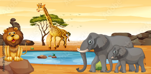 Wild animals by the waterhole