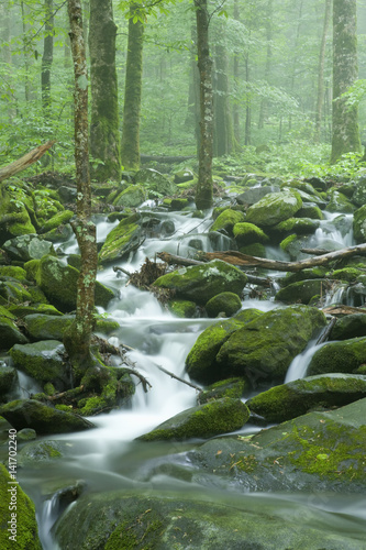 Stream, Spring Landscape, Great Smoky Mountains NP
