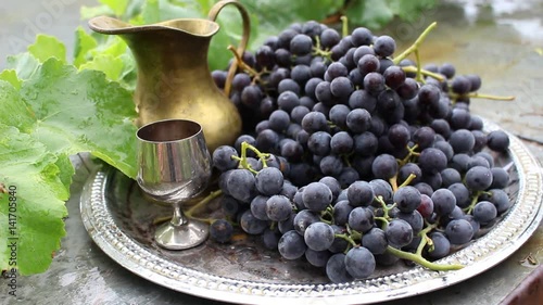  Silver salver with wine grapes and beautiful metal utensils. Green vine. Woman eating grapes