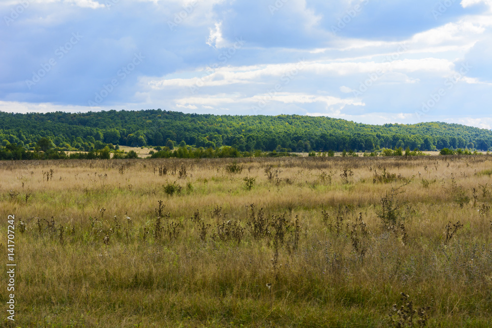 The landscape of fields and mountains in western Ukraine