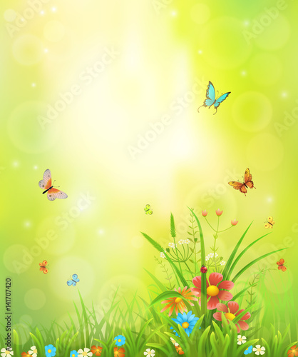 Summer background with meadow grass  flowers and insects