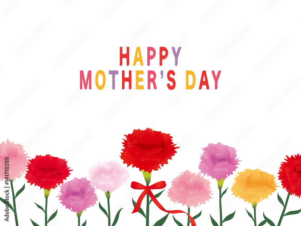 母の日　カーネーション