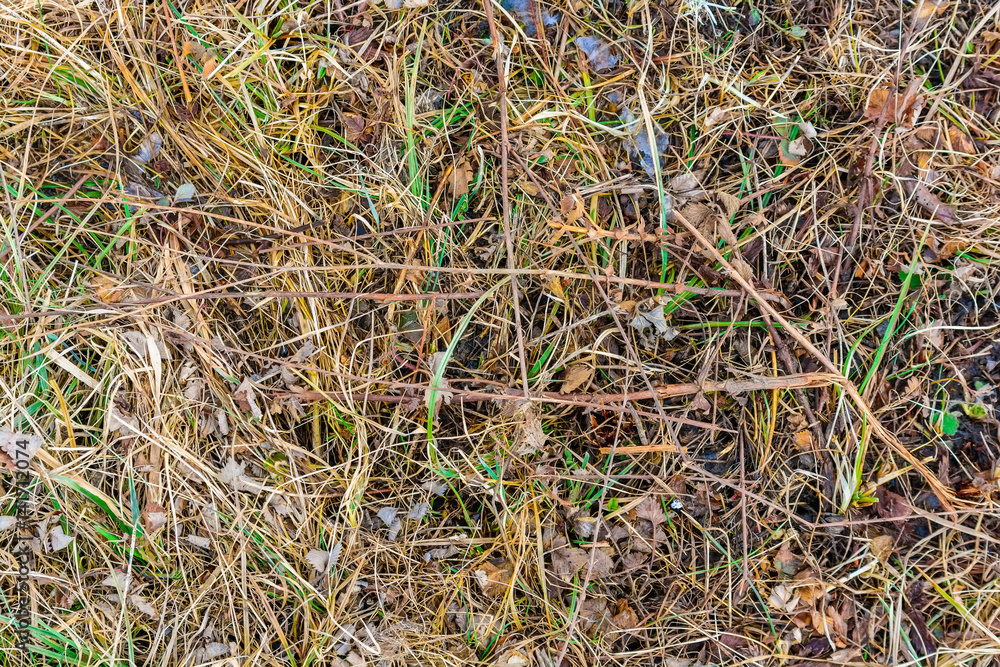 Background from autumn foliage and dry grass Background from autumn foliage and dry grass
