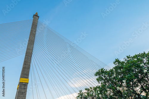 Rama VIII Bridge