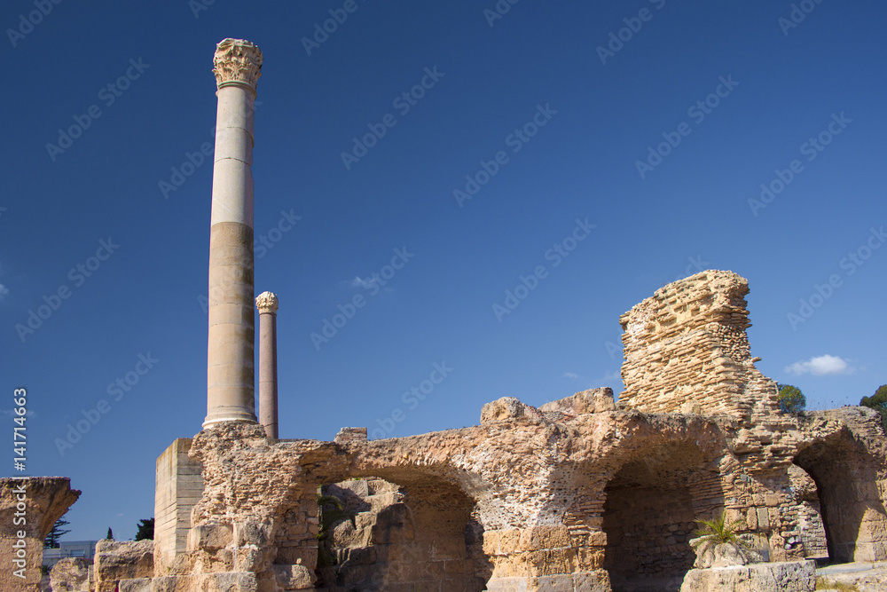Columns of Carthage
