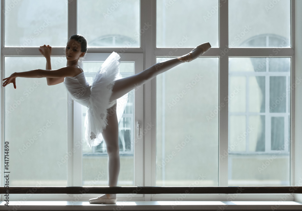 Fototapeta premium Young beautiful ballerina dancing on windowsill