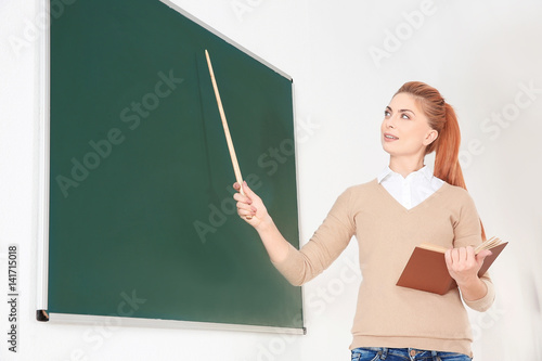 Young teacher with pointer ...