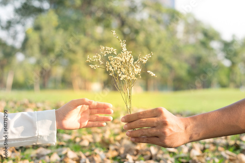 hand of men holding flower to giving his girlfriend
