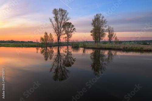 grove is reflected in the calm water of the lake at sunset