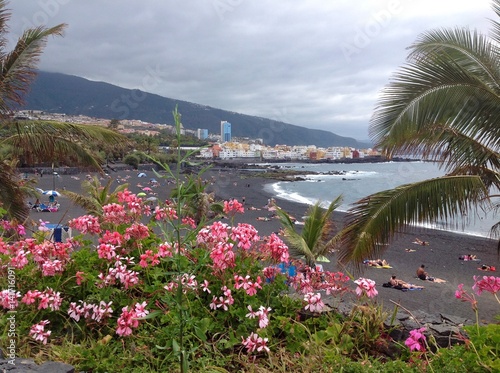  View of the beach with volcanic black sand on the beach, Tenerife 