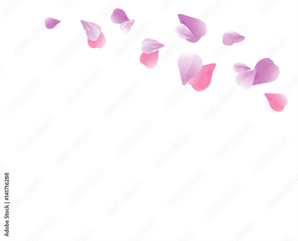 Purple Violet flying petals isolated on White background. Sakura Roses petals. Vector Purple Violet flying petals isolated on White background. Sakura Roses petals. Vector