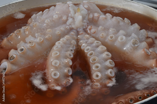 Close up of a big octopus with really long tentacles that cooks in hot water in a pot